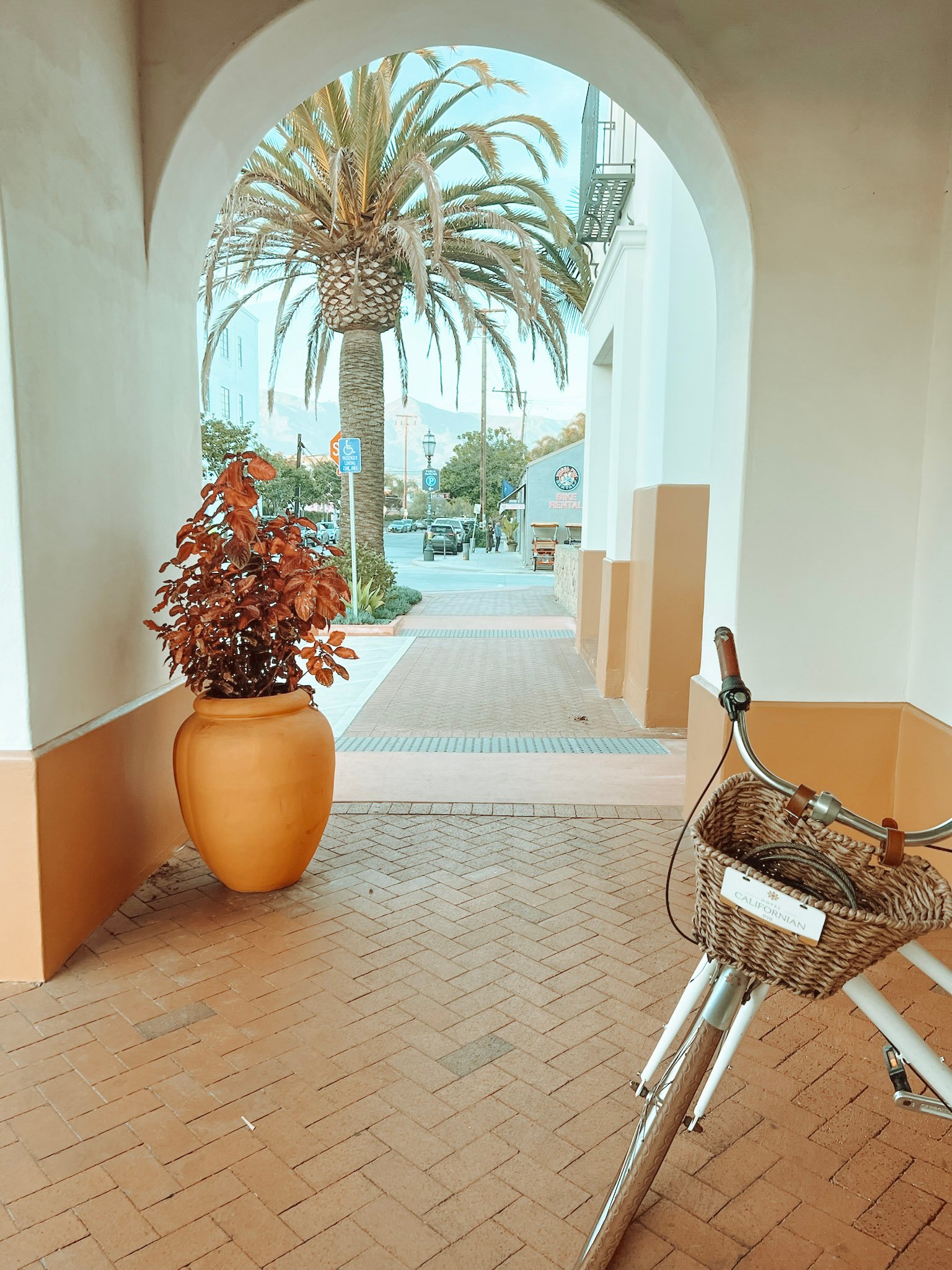 Palm trees and a Santa Barbara street framed by a white stucco archway